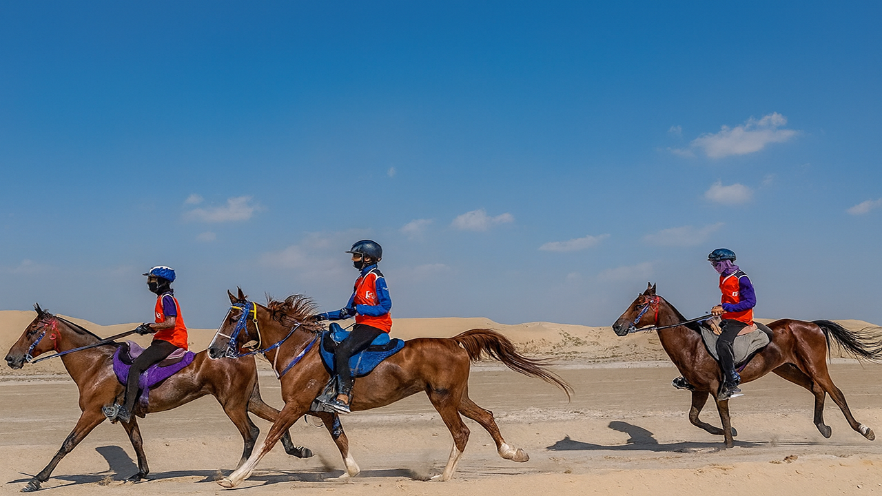 512 فارساً يفتتحون موسم القدرة الإماراتي في بوذيب 2025-2026 